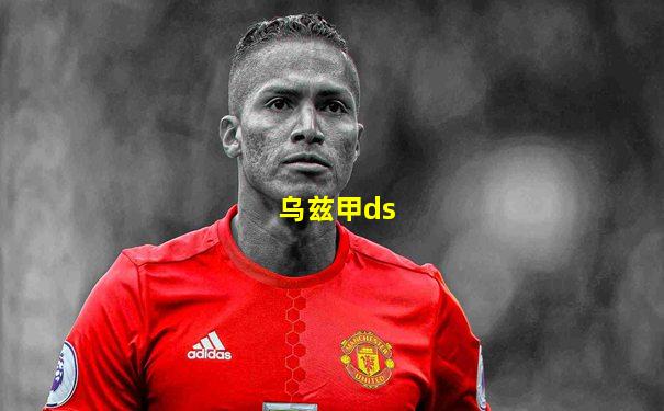 乌兹甲ds