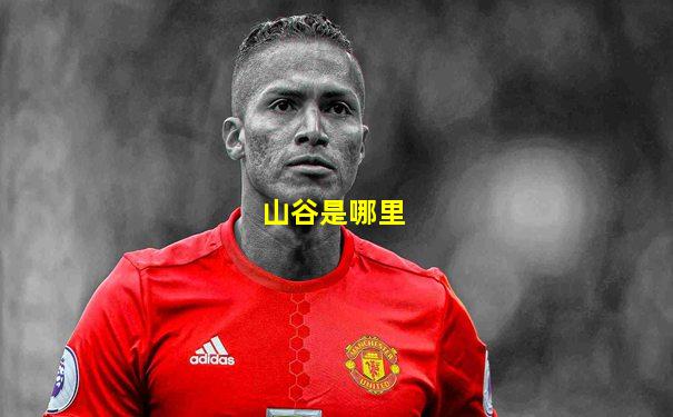 山谷是哪里