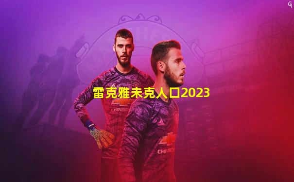 雷克雅未克人口2023