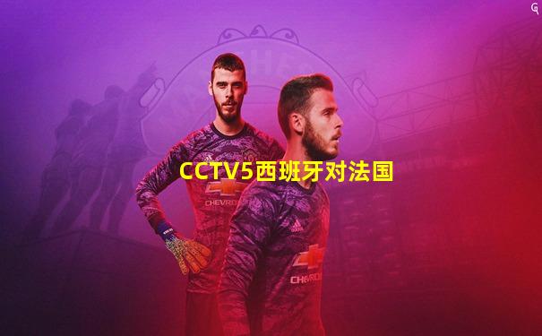 CCTV5西班牙对法国