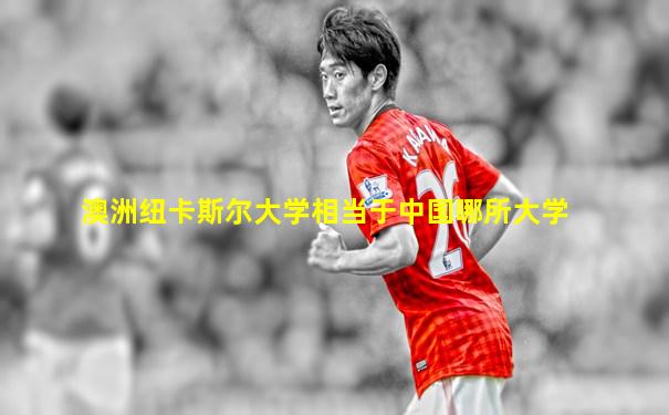 澳洲纽卡斯尔大学相当于中国哪所大学