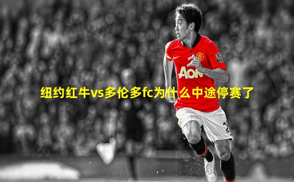 纽约红牛vs多伦多fc为什么中途停赛了